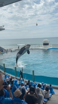 鴨川シーワールドに投稿された画像（2025/7/13）