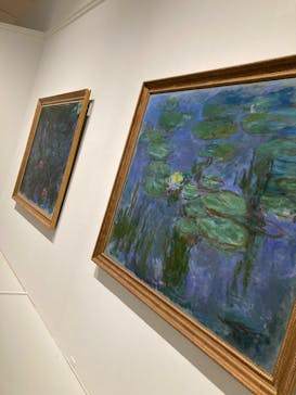 モネ 睡蓮のとき（豊田会場）に投稿された画像（2025/7/13）
