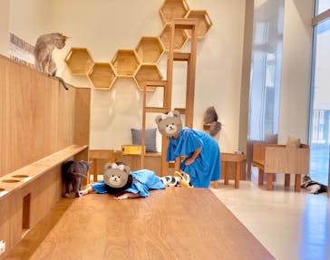 Cat Café MOFF イーアス沖縄豊崎店に投稿された画像（2025/7/14）