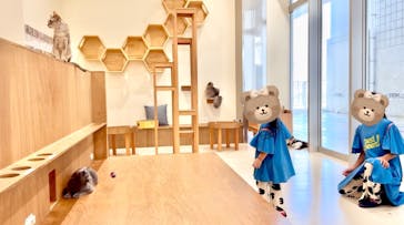 Cat Café MOFF イーアス沖縄豊崎店に投稿された画像（2025/7/14）