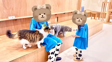 Cat Café MOFF イーアス沖縄豊崎店に投稿された画像（2025/7/14）