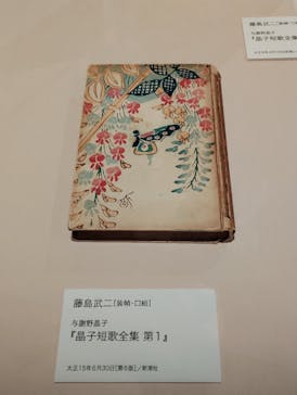 大正イマジュリィの世界（SOMPO美術館）に投稿された画像（2025/7/14）