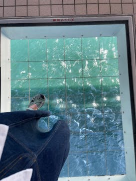 徳島県立 渦の道に投稿された画像（2025/7/14）