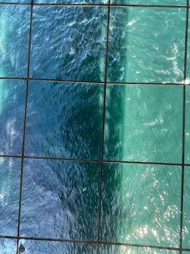 徳島県立 渦の道に投稿された画像（2025/7/14）