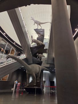 福井県立恐竜博物館に投稿された画像（2025/7/14）