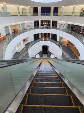 福井県立恐竜博物館に投稿された画像（2025/7/14）