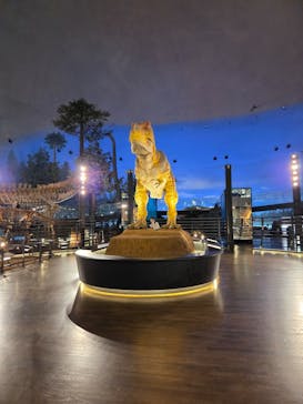 福井県立恐竜博物館に投稿された画像（2025/7/14）