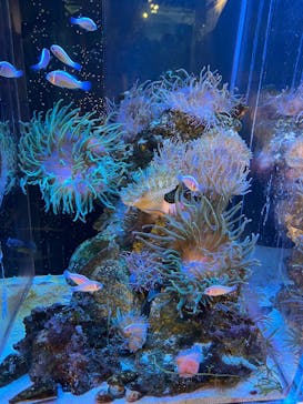 竹島水族館に投稿された画像（2025/7/14）