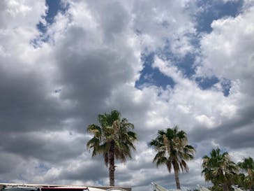 稲毛海浜公園（SUNSET BEACH PARK INAGE）に投稿された画像（2025/7/14）