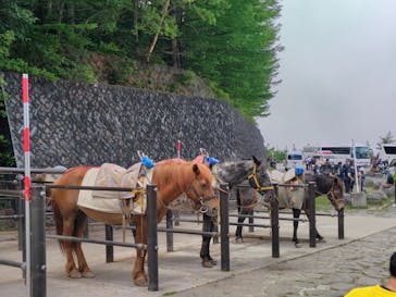 富士山吉田ルート（山梨県）に投稿された画像（2025/7/14）