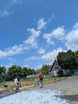 滋賀農業公園ブルーメの丘に投稿された画像（2025/7/14）