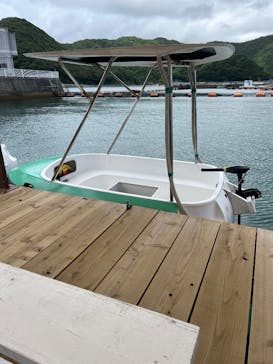 うみたま体験パーク 「つくみイルカ島」に投稿された画像（2025/7/14）