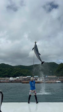 うみたま体験パーク 「つくみイルカ島」に投稿された画像（2025/7/14）