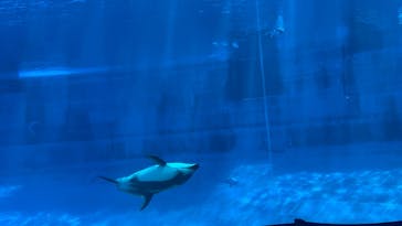 名古屋港水族館に投稿された画像（2025/7/14）