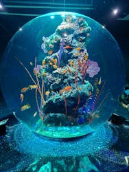AQUARIUM × ART　atoaに投稿された画像（2025/7/14）