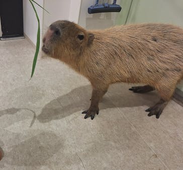 アニタッチPARKイオンモール太田に投稿された画像（2025/7/14）