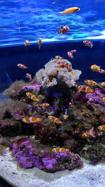 大分マリーンパレス水族館 「うみたまご」に投稿された画像（2025/7/14）