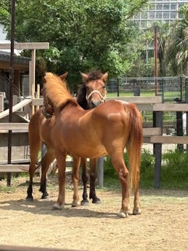 九十九島パールシーリゾートに投稿された画像（2025/7/14）
