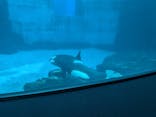 名古屋港水族館に投稿された画像（2025/7/14）
