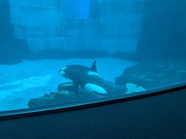 名古屋港水族館に投稿された画像（2025/7/14）