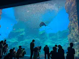 仙台うみの杜水族館に投稿された画像（2025/7/14）