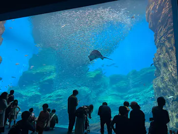 仙台うみの杜水族館に投稿された画像（2025/7/14）