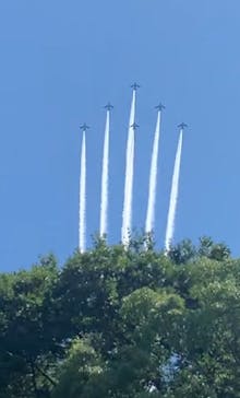 天王寺動物園に投稿された画像（2025/7/14）