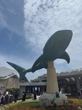沖縄美ら海水族館に投稿された画像（2025/7/14）