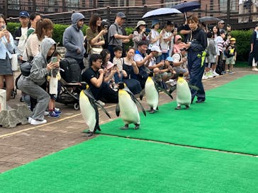 登別マリンパークニクスに投稿された画像（2025/7/14）