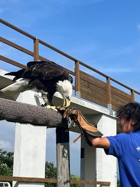 那須どうぶつ王国に投稿された画像（2025/7/14）