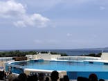 沖縄美ら海水族館に投稿された画像（2025/7/14）