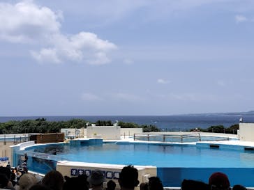 沖縄美ら海水族館に投稿された画像（2025/7/14）