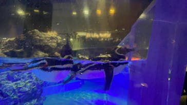 すみだ水族館に投稿された画像（2025/7/14）