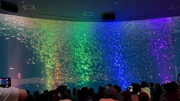 名古屋港水族館に投稿された画像（2025/7/14）