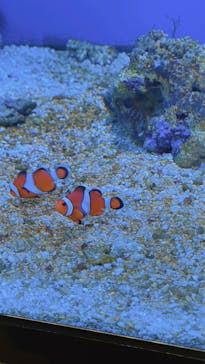 名古屋港水族館に投稿された画像（2025/7/14）