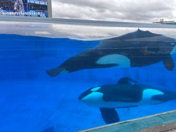 名古屋港水族館に投稿された画像（2025/7/14）