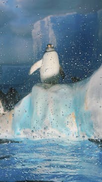 名古屋港水族館に投稿された画像（2025/7/14）