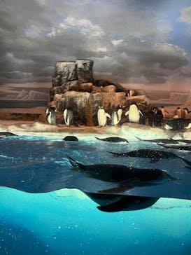 名古屋港水族館に投稿された画像（2025/7/14）