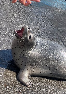 東武動物公園に投稿された画像（2025/7/14）