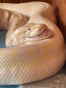 東武動物公園に投稿された画像（2025/7/14）