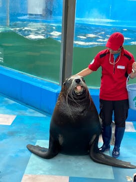 ゼロ距離水族館 伊勢シーパラダイスに投稿された画像（2025/7/14）
