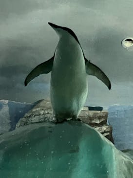 名古屋港水族館に投稿された画像（2025/7/14）