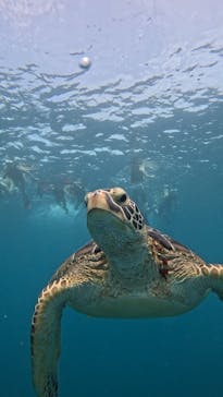  マリンショップHAPPYに投稿された画像（2025/7/14）