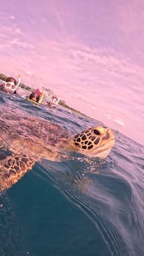  マリンショップHAPPYに投稿された画像（2025/7/14）