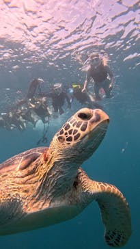  マリンショップHAPPYに投稿された画像（2025/7/14）