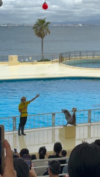 マリンワールド海の中道に投稿された画像（2025/7/14）