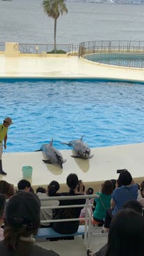 マリンワールド海の中道に投稿された画像（2025/7/14）