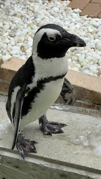 マリンワールド海の中道に投稿された画像（2025/7/14）