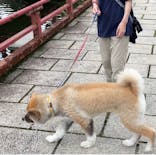 阿蘇カドリー・ドミニオンに投稿された画像（2025/7/14）