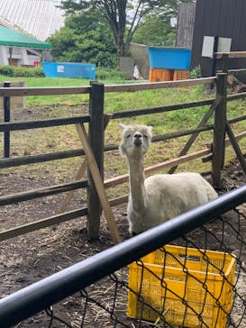 阿蘇カドリー・ドミニオンに投稿された画像（2025/7/14）